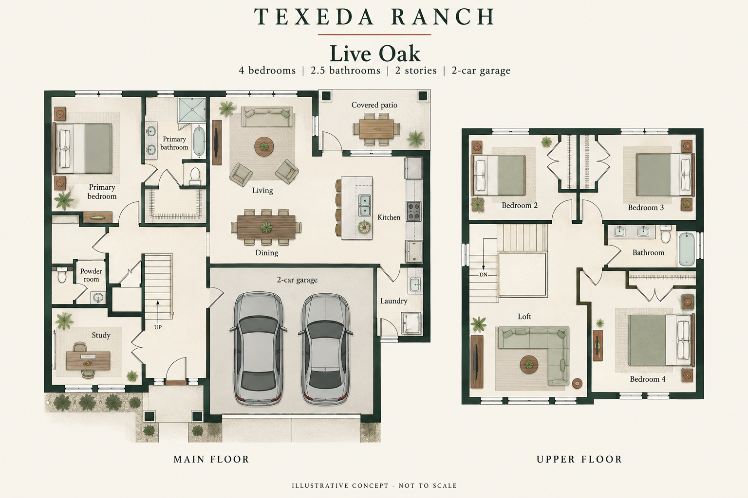 Live Oak conceptual floor plan